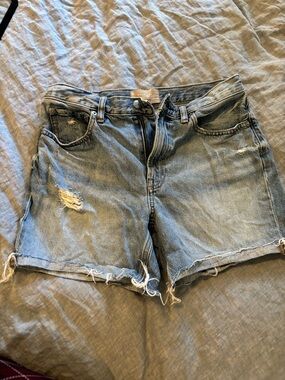 Everlane Washed Blue Distressed Denim Shorts